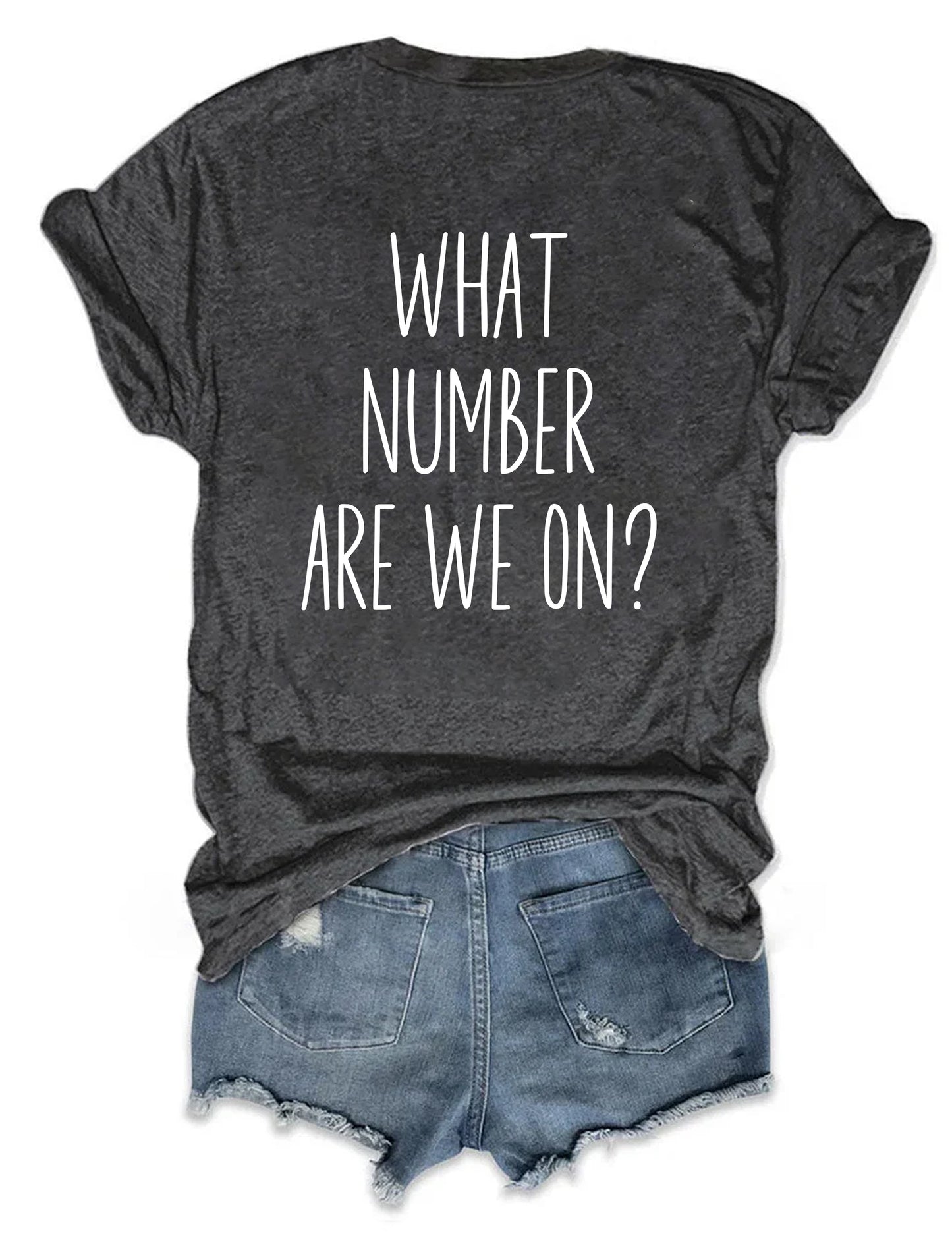 What Number Are We On Dance Mom Life T-shirt