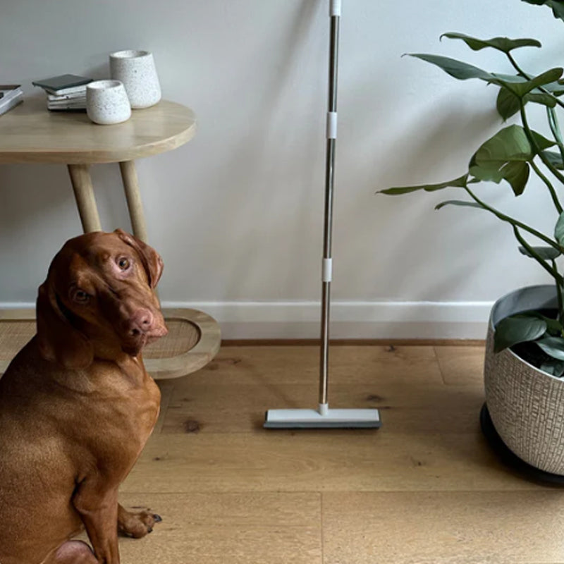 Rubber Bristle Broom for Pet Hair Removal