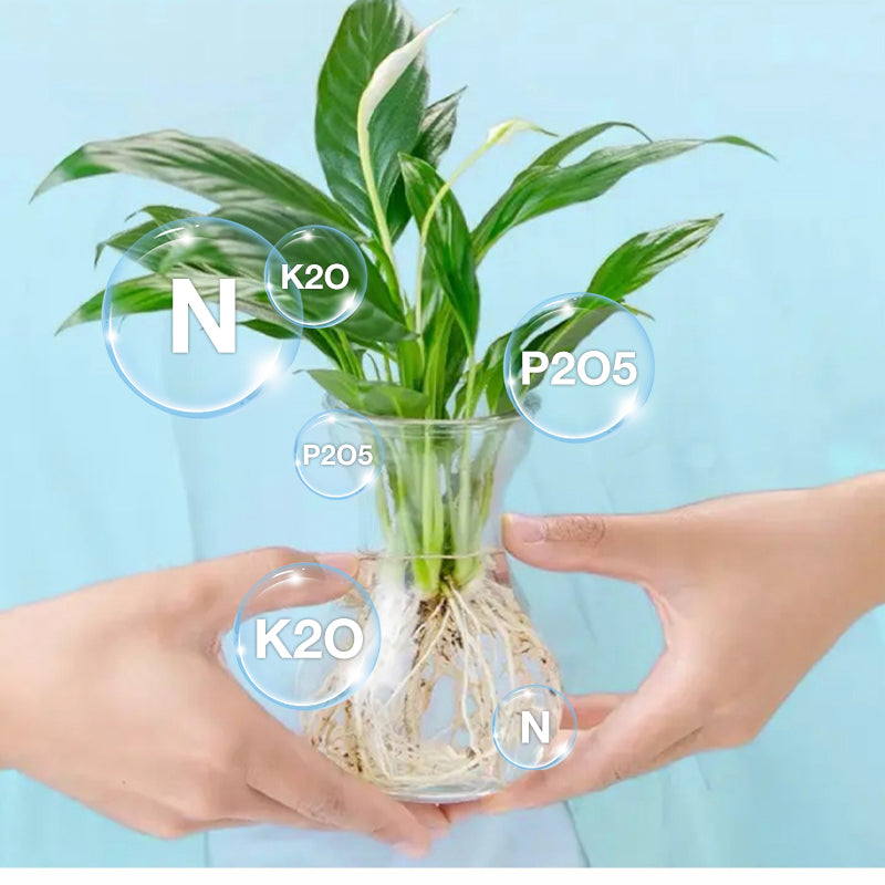 Hydroponic Nutrient Solution for Plant Growth